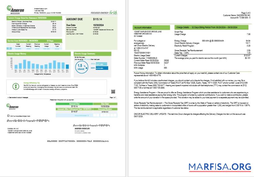 Blank USA Ameren Missouri electricity business utility bill template in Word and PDF formats (2 pages)
